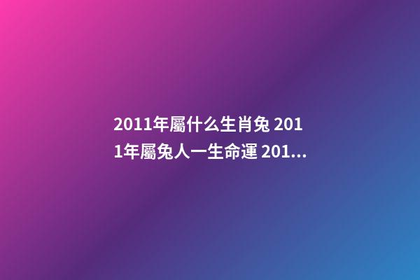 2011年屬什么生肖兔 2011年屬兔人一生命運 2011年屬兔人一生命運，2011年出生的孩子是什么命